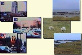 Video Stills